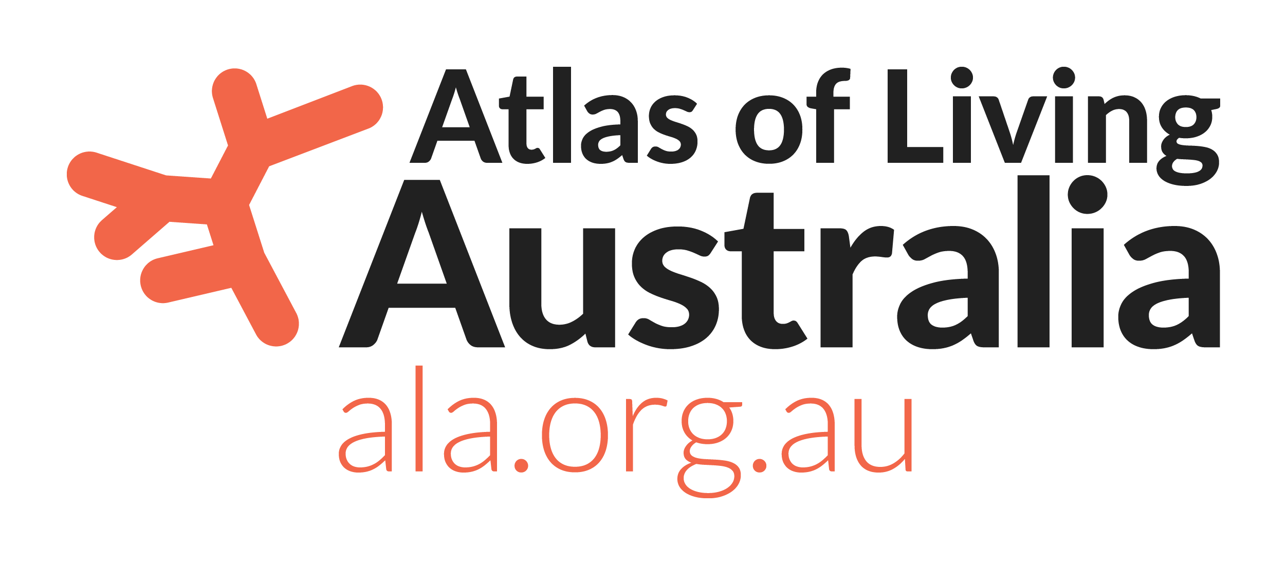 Organisation Logo