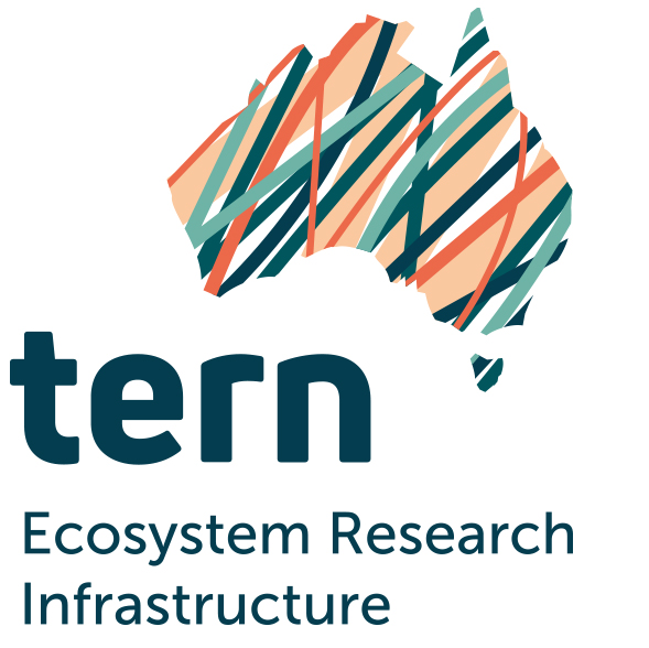 Organisation Logo